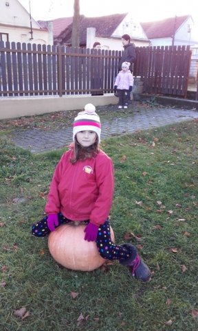 20161102_154715